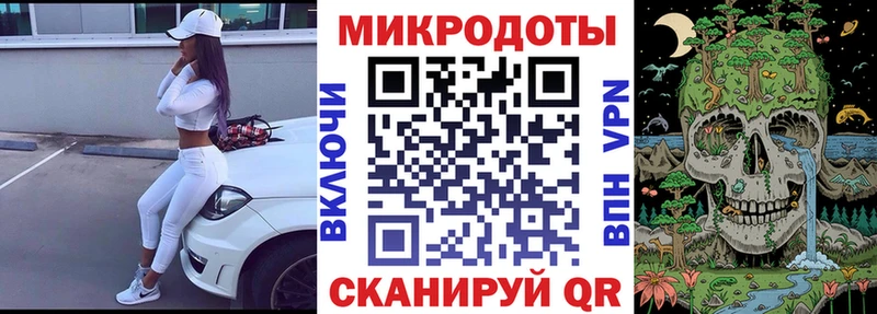 Купить где  Родники  Псилоцибиновые грибы Psilocybe 